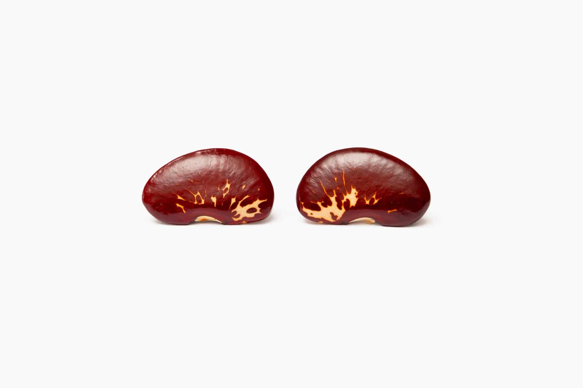 Topo Fríjol Rojo - miniatura 2
