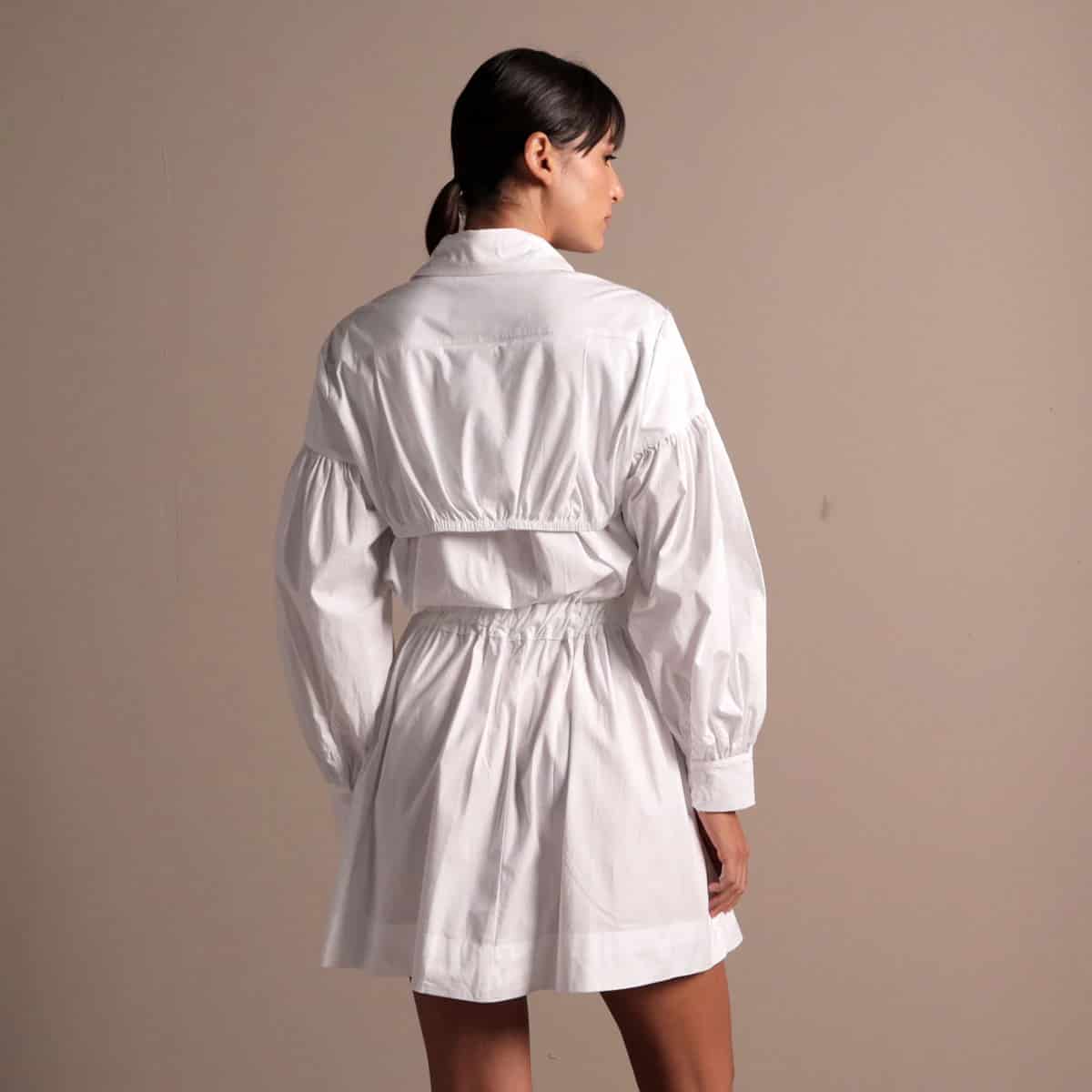 Ref. 241 - miniatura 15