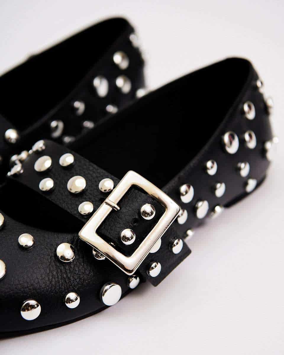 POINTER FLATS BLACK - miniatura 4