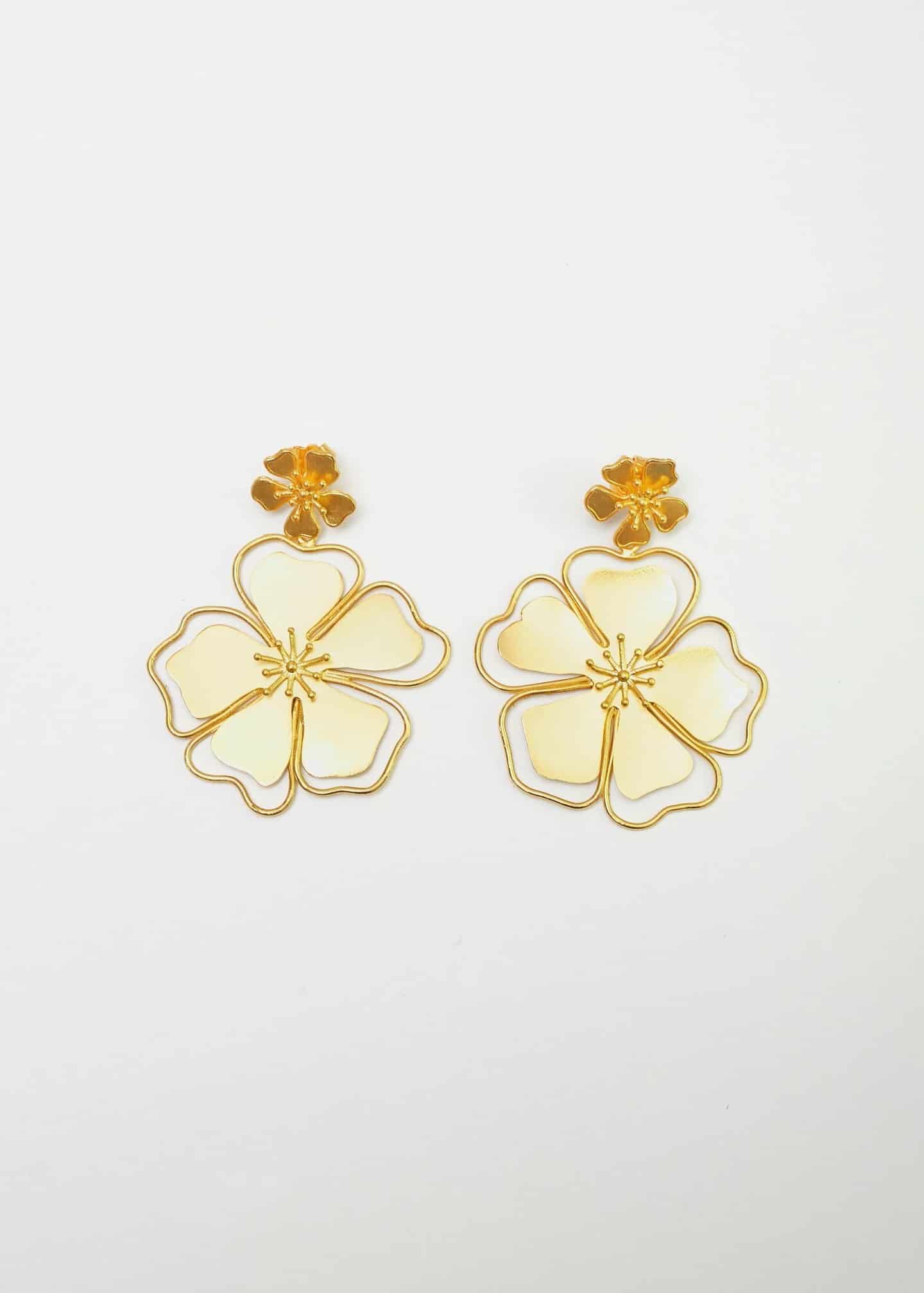 Aretes Andreae - miniatura 5