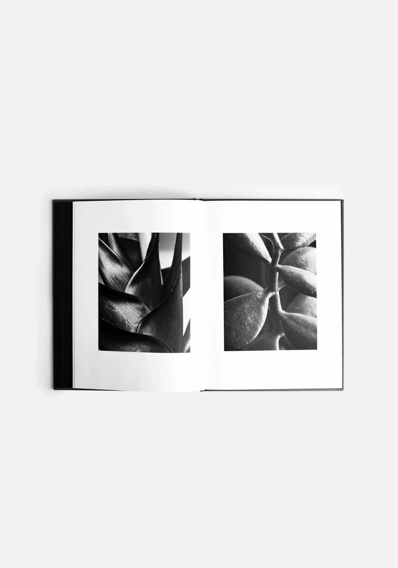 Libro Matas ED. A&A - miniatura 3