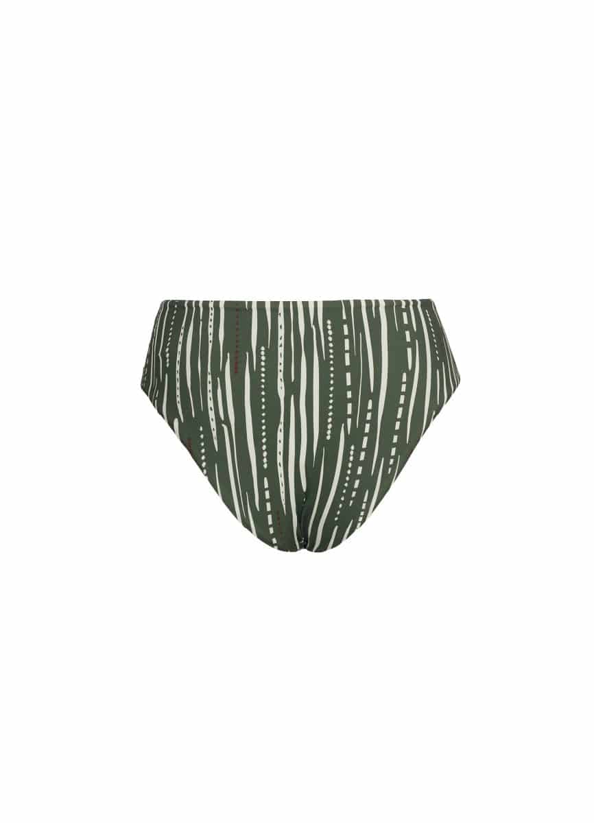 CACTI LINES IZZIE BOTTOM 94034 - miniatura 2
