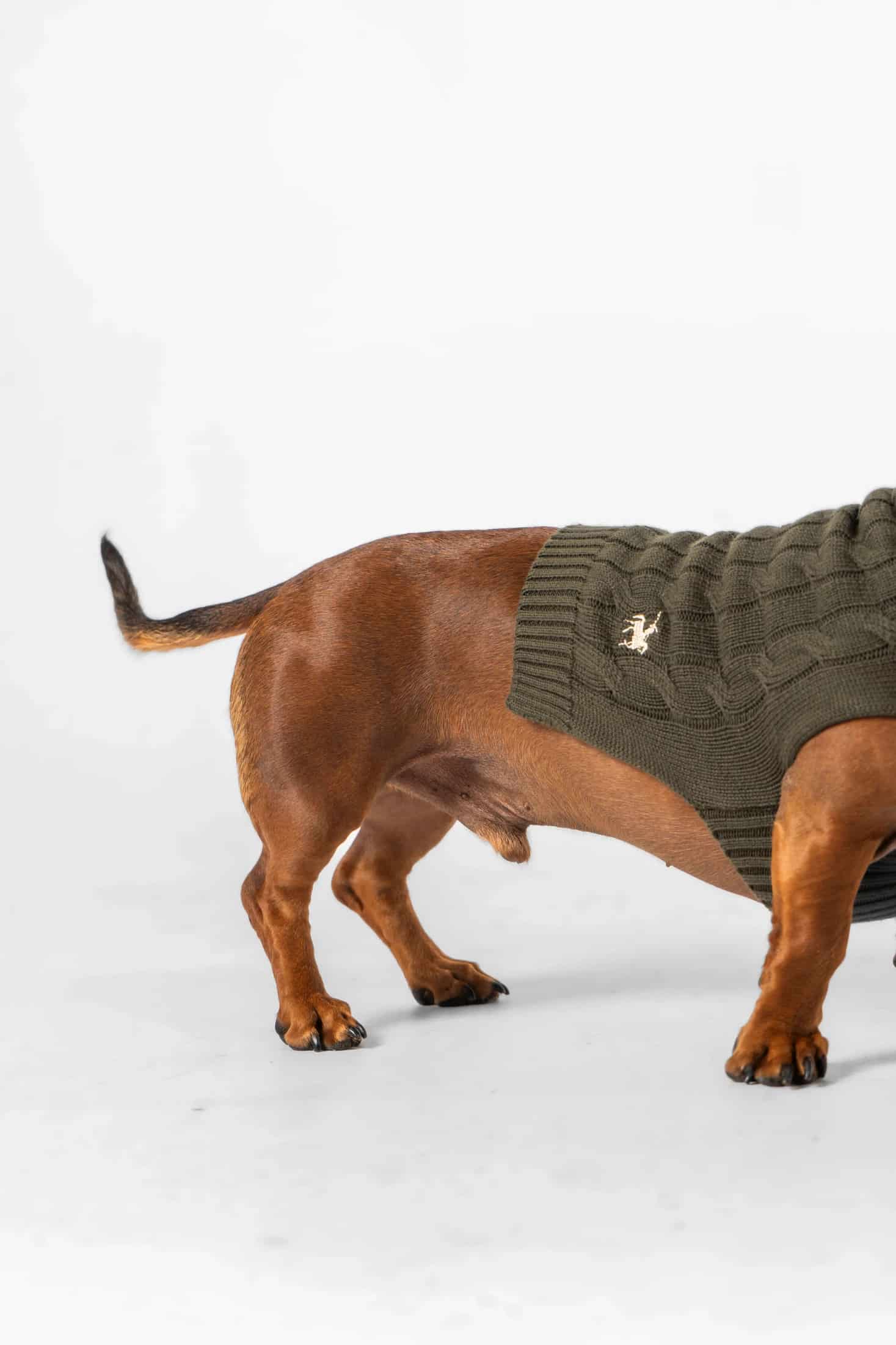 Suéter Perros Verde - miniatura 9
