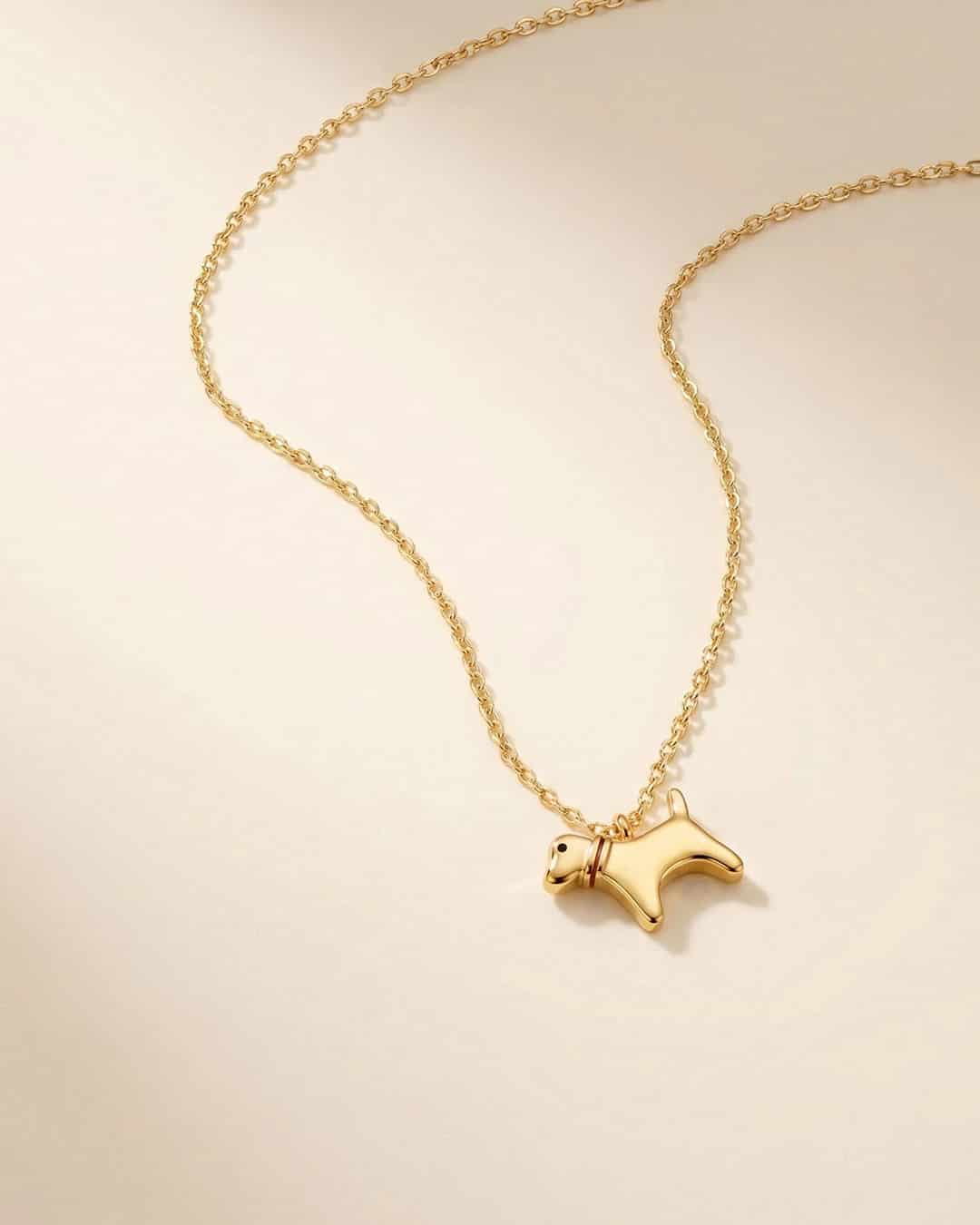 Collar Perro - miniatura 3