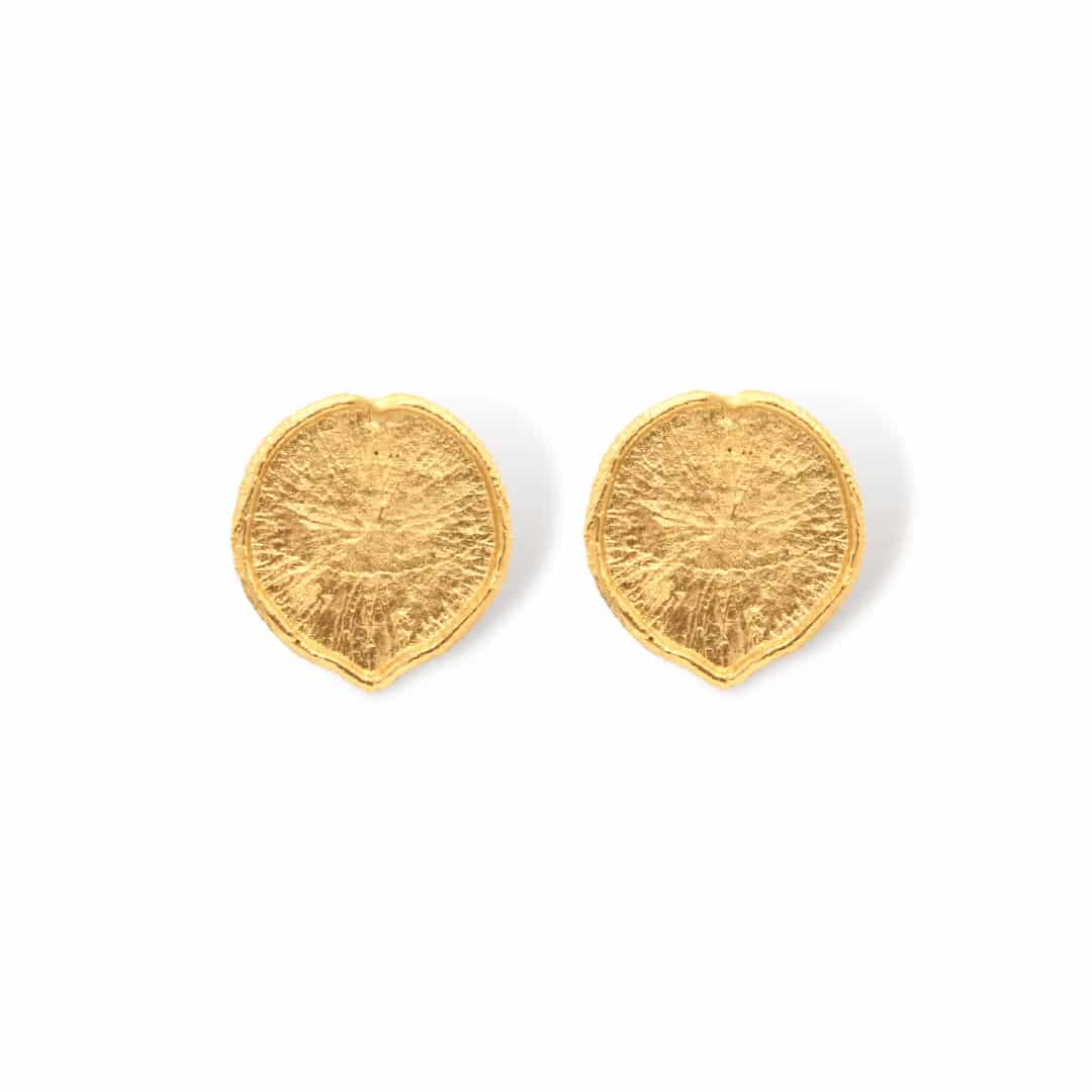 Aretes hoja de victoria regia - miniatura 2