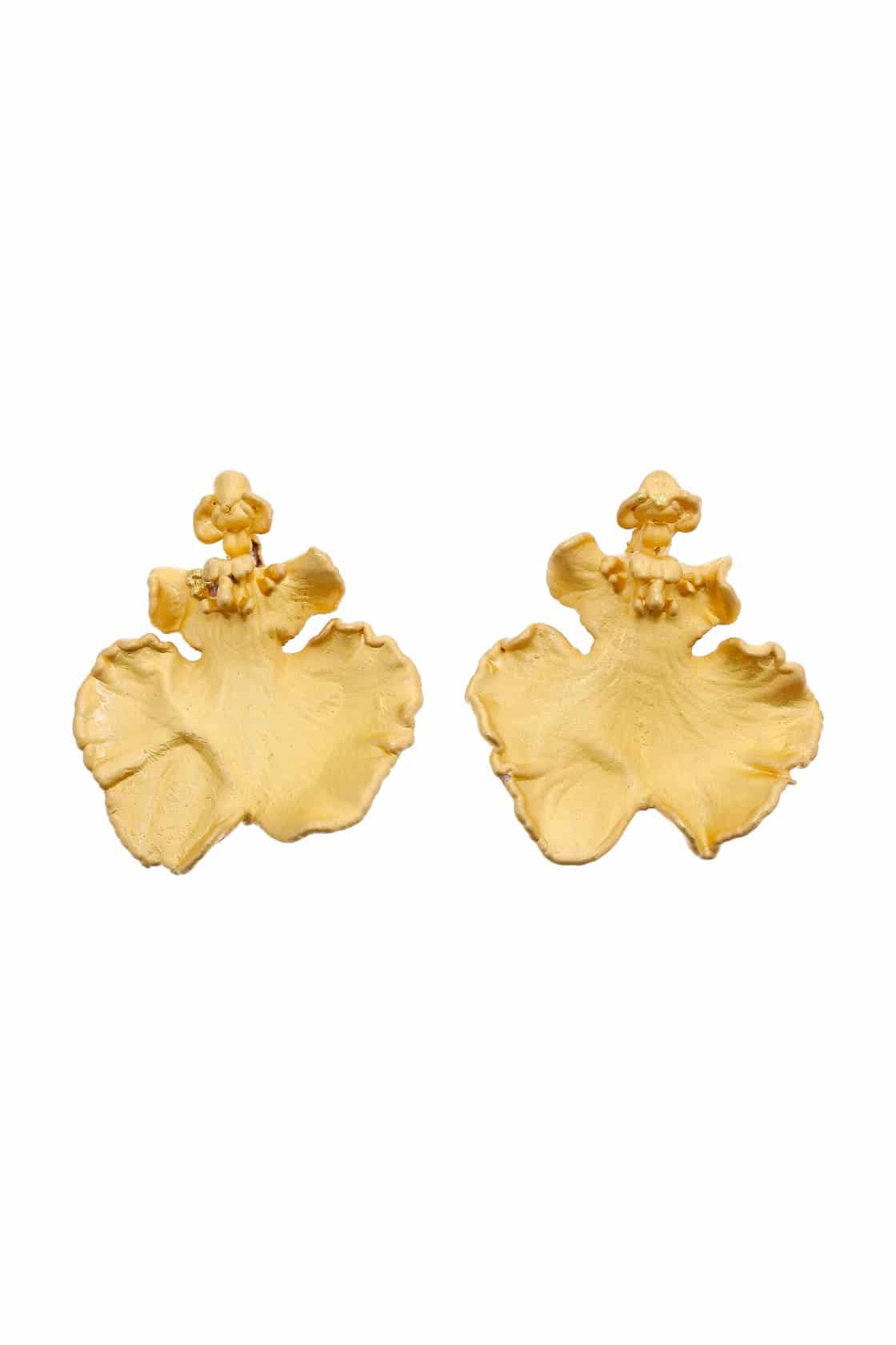 ONCIDIUM STUDS - miniatura 1