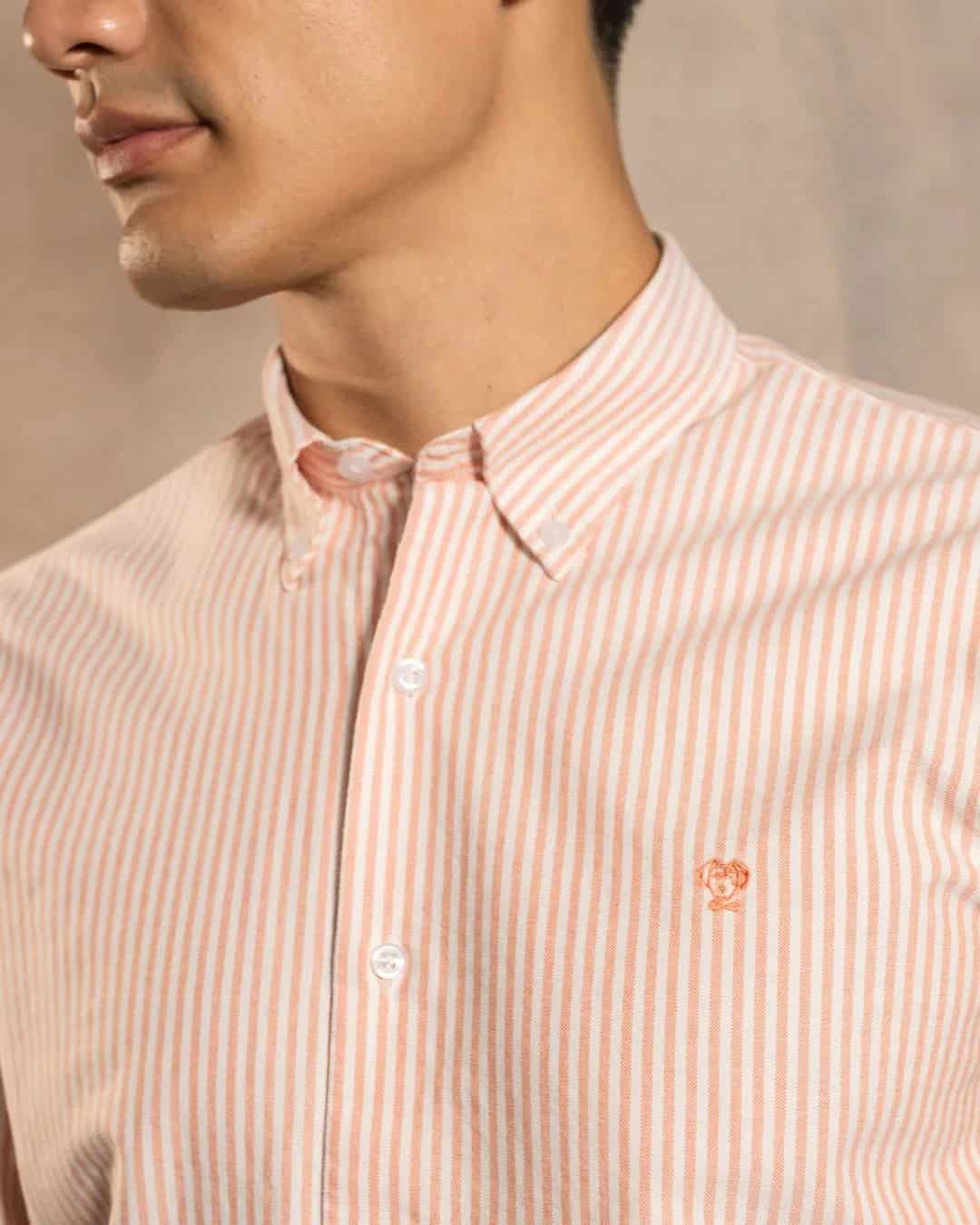 Camisa Antimanchas Oxford Rayas Coral - miniatura 2