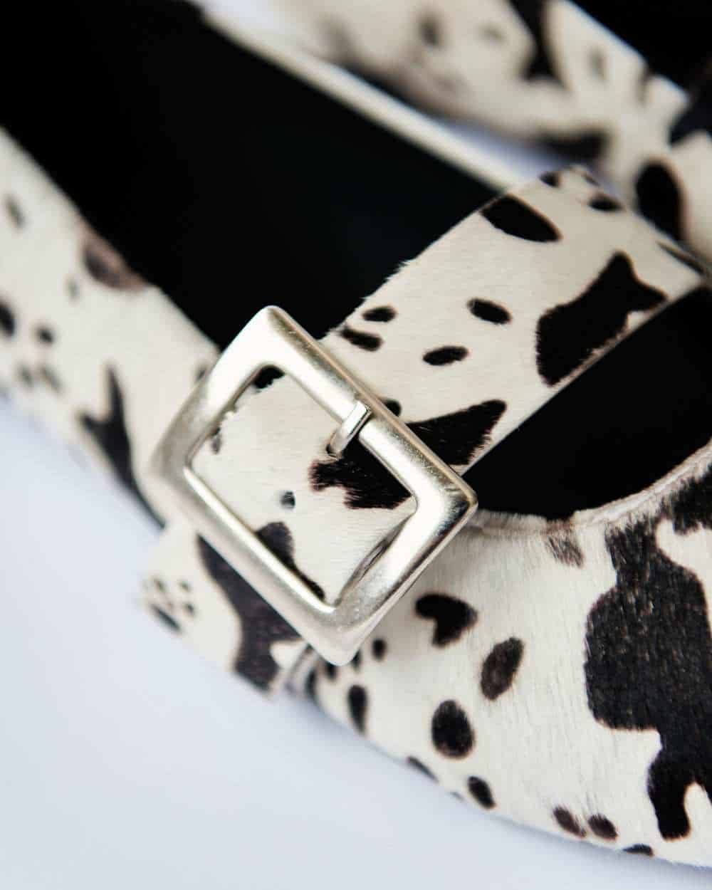 COW POINTER FLATS - miniatura 4