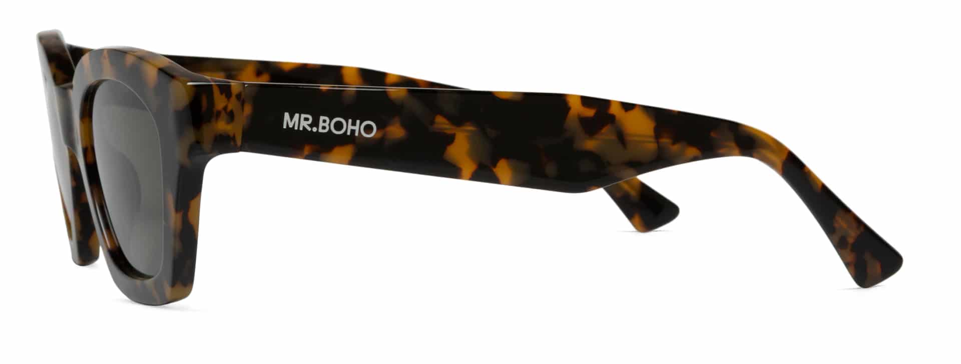 HC TORTOISE - BARROSA WITH CLASSICAL LENSES - miniatura 3