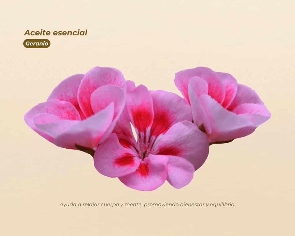 Aceites Esenciales 100% Puros para aromaterapia y bienestar - miniatura 14