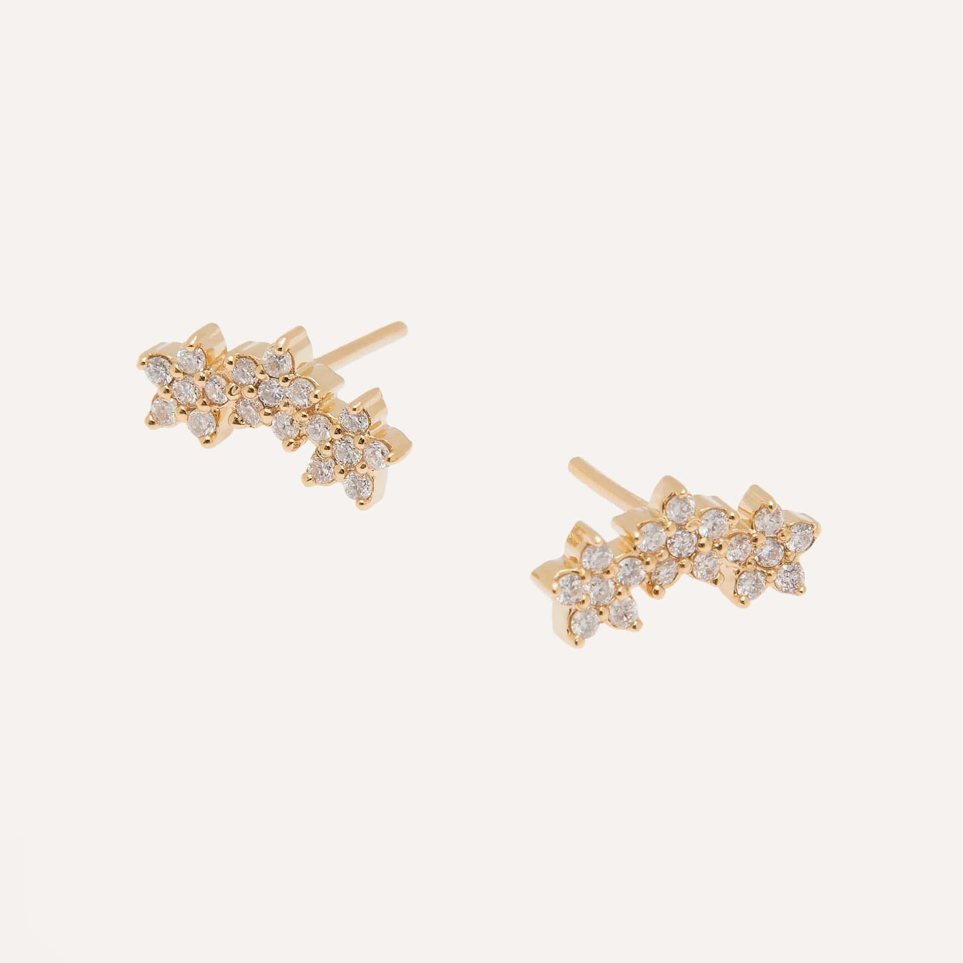 Arete Crawler Flores - miniatura 2