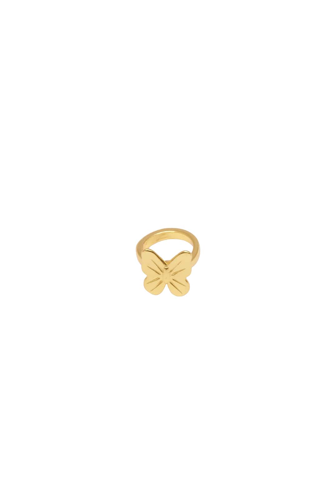 Baby flight Ring