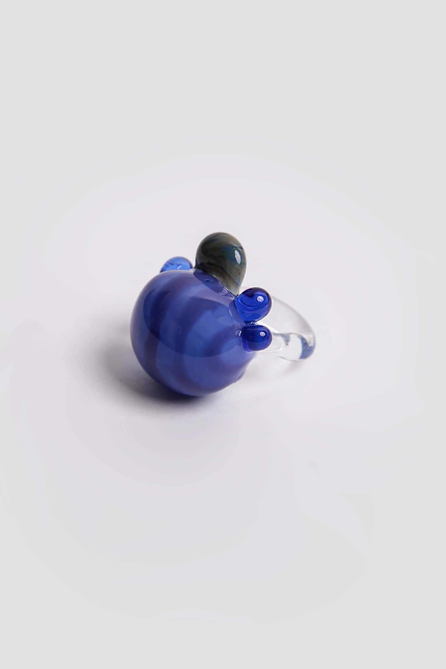 Escarabajo mora azul