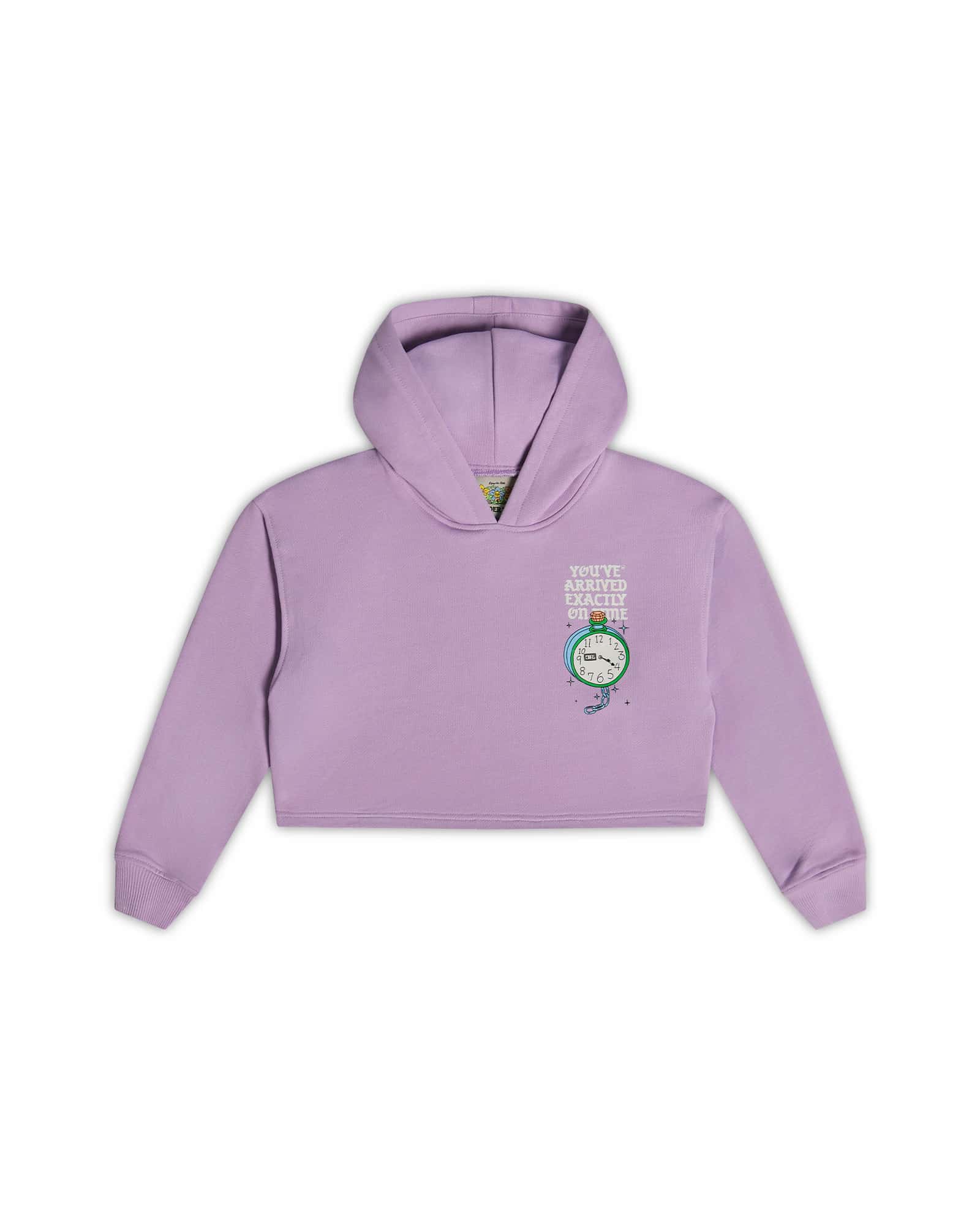 HOODIE CROP OVERSIZE WONDERPARK LILA - miniatura 2