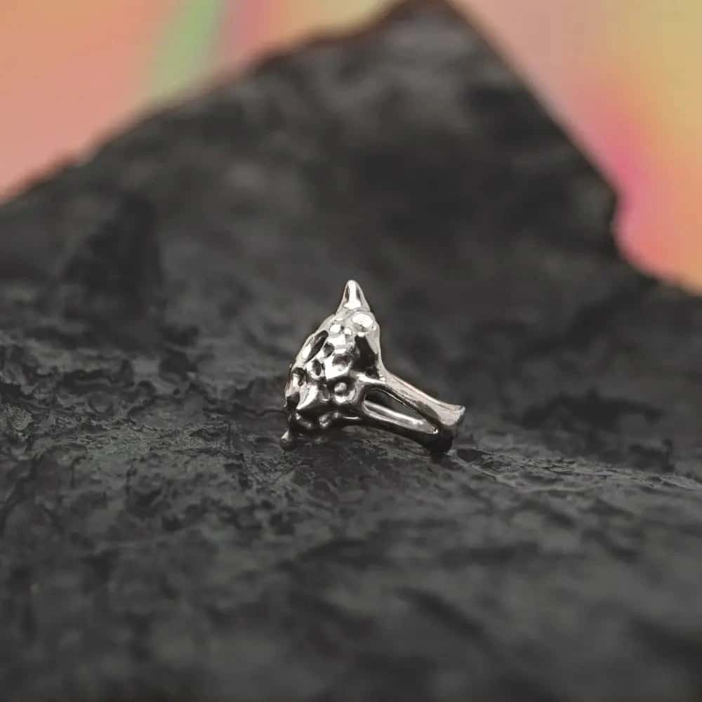Anillo Hexancistra - miniatura 2