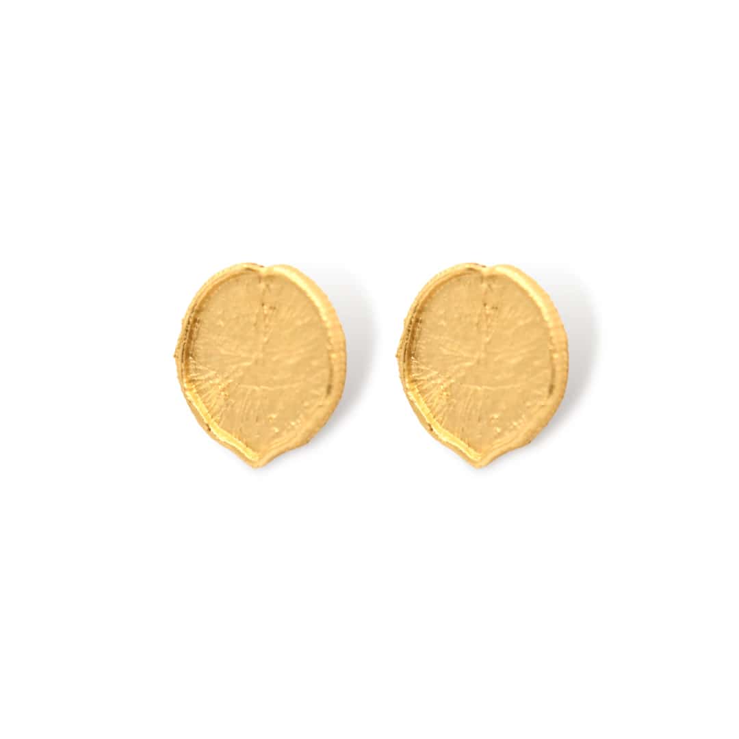 Aretes hoja de victoria regia