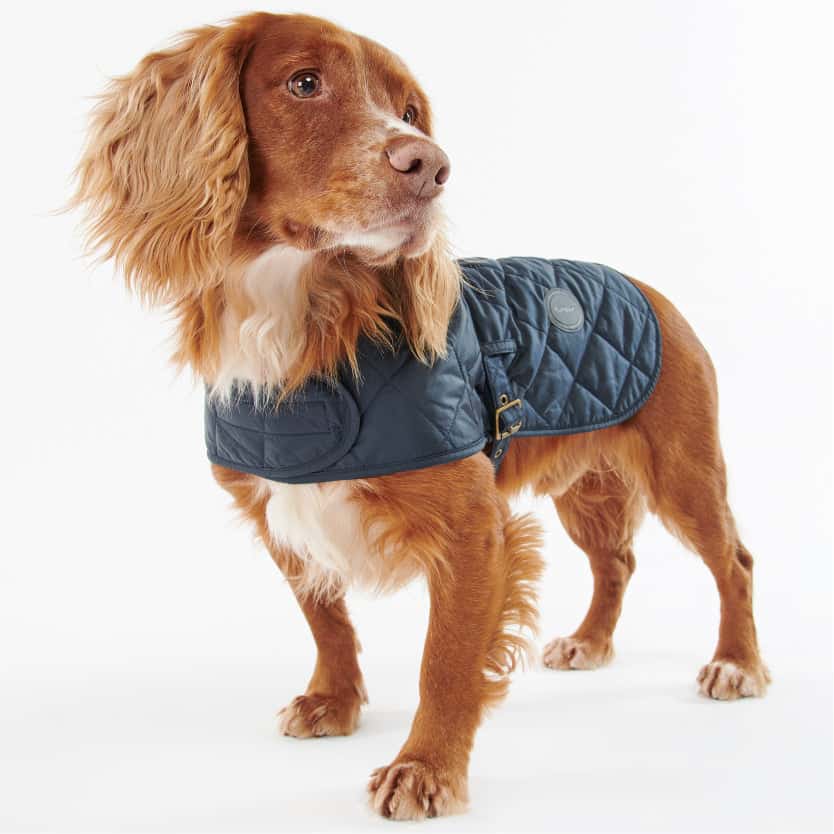 Quilted Dog Coat