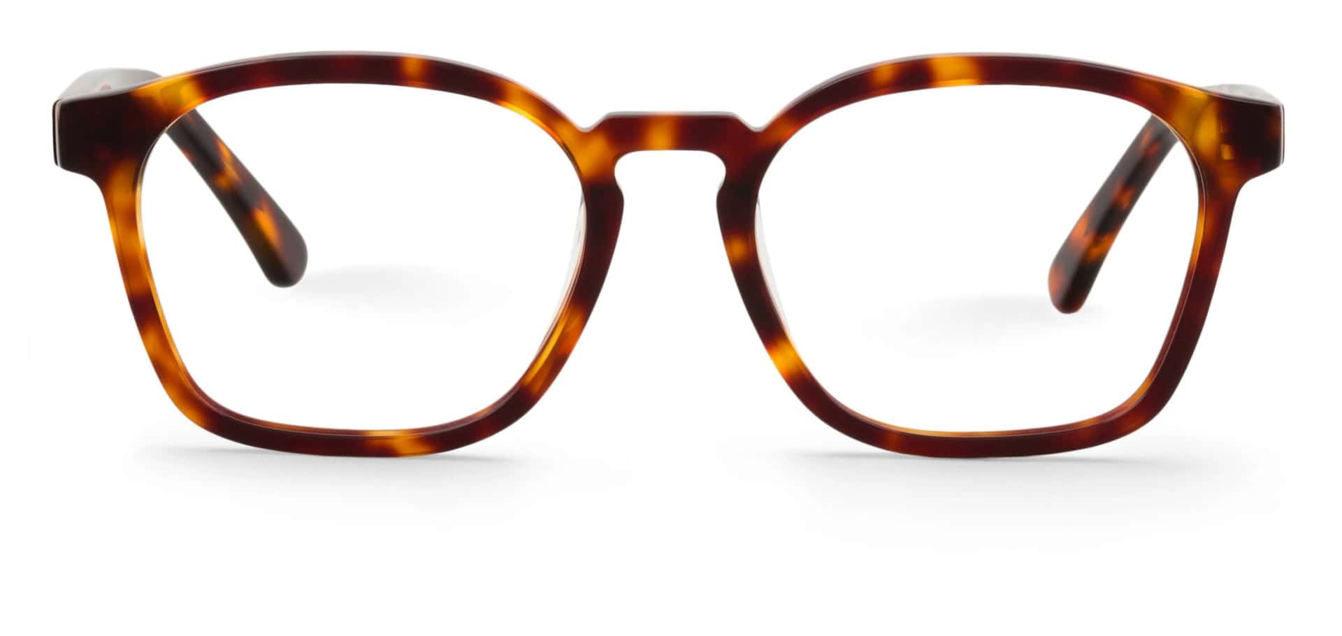 WALNUT KENT