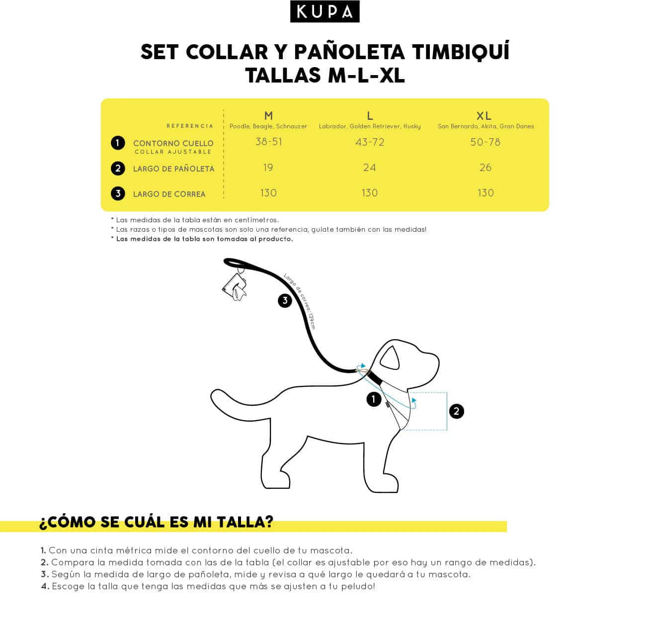 Set collar y pañoleta Timbiquí Extraordinario - miniatura 3