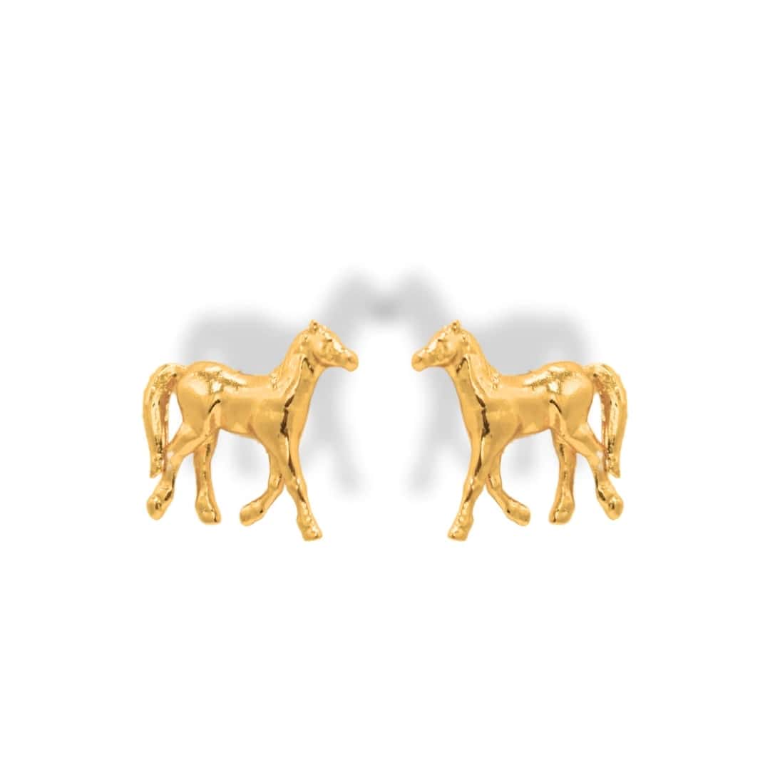 Aretes de caballo - miniatura 2