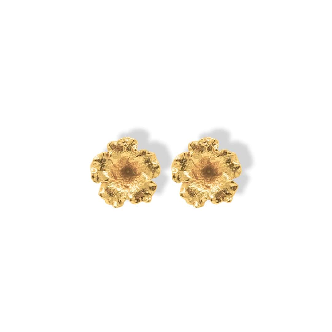 Aretes de petunia
