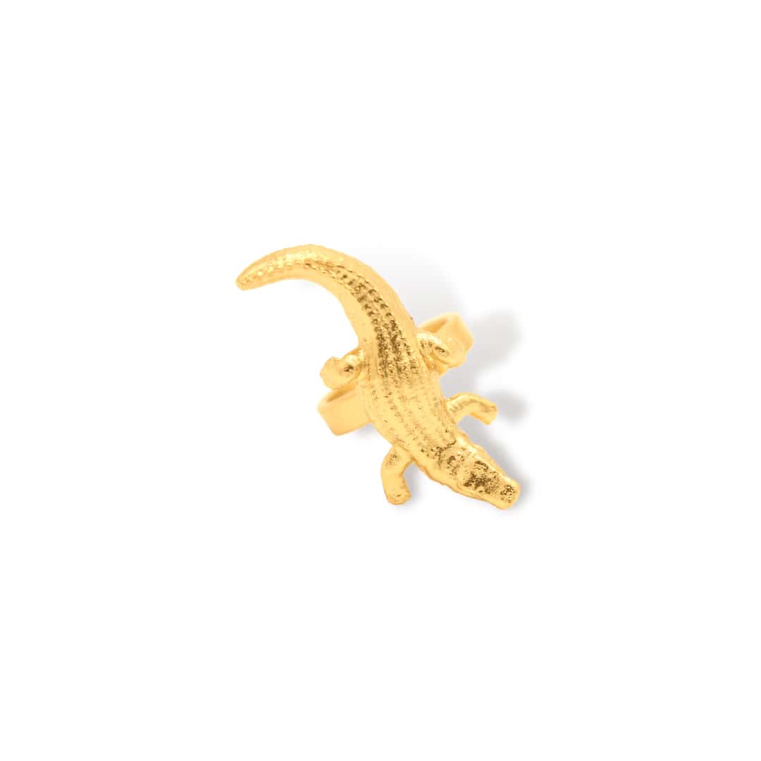 Anillo de cocodrilo