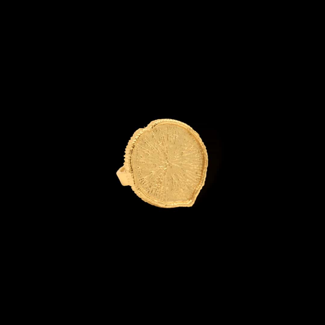 Anillo con hoja de victoria regia