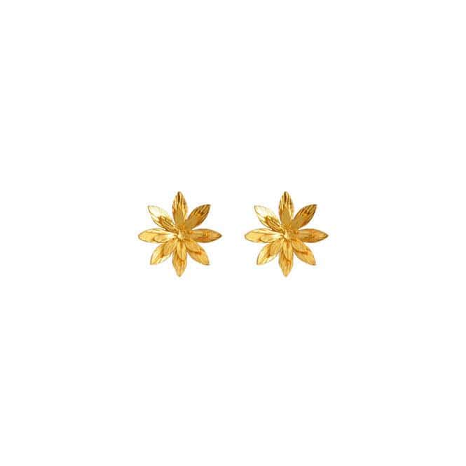 Arete Topo Pequeño Flor De Loto Resiliencia