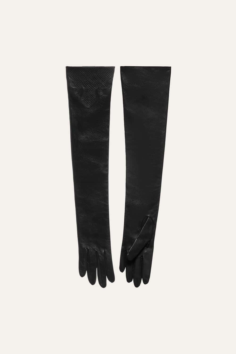 The Hidden Eden Gloves