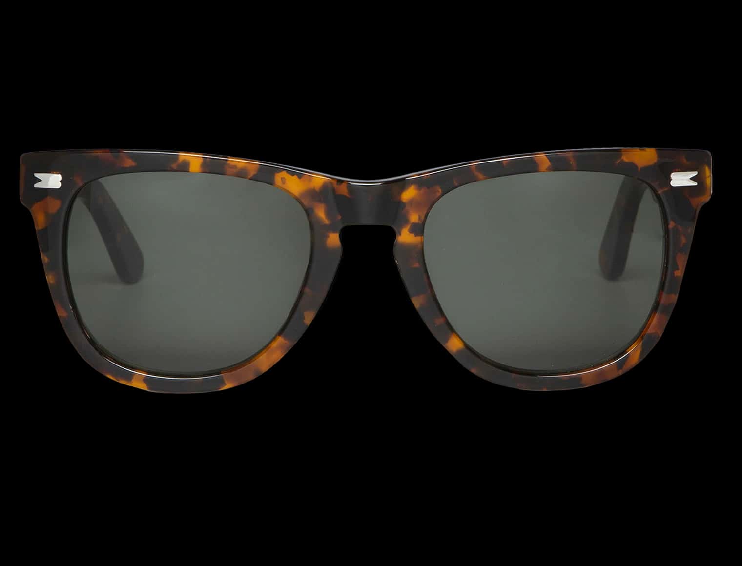 CHEETAH TORTOISE ALAMEDA WITH CLASSICAL LENSES