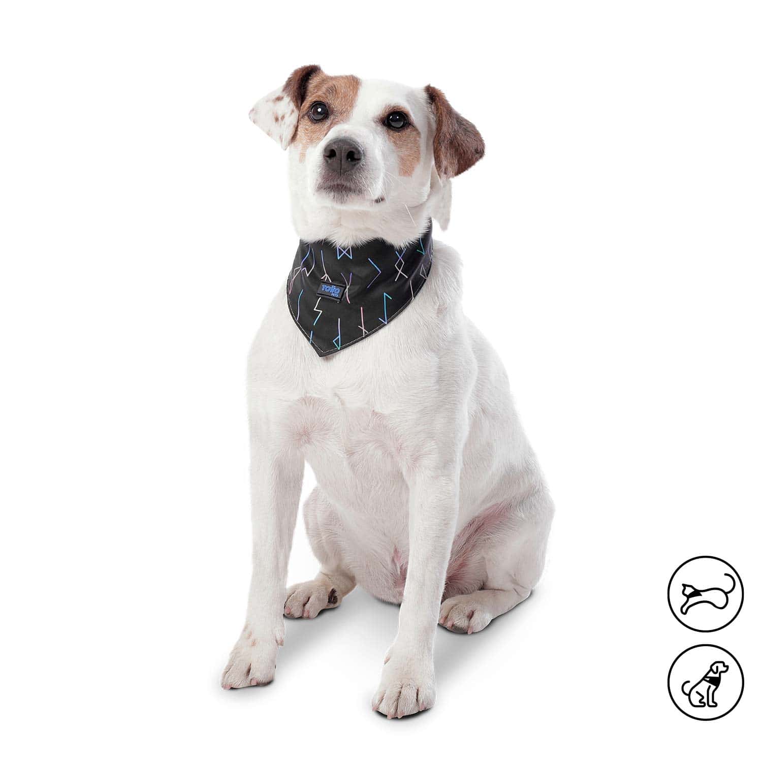 Pañoleta Menta 2.0 para mascota