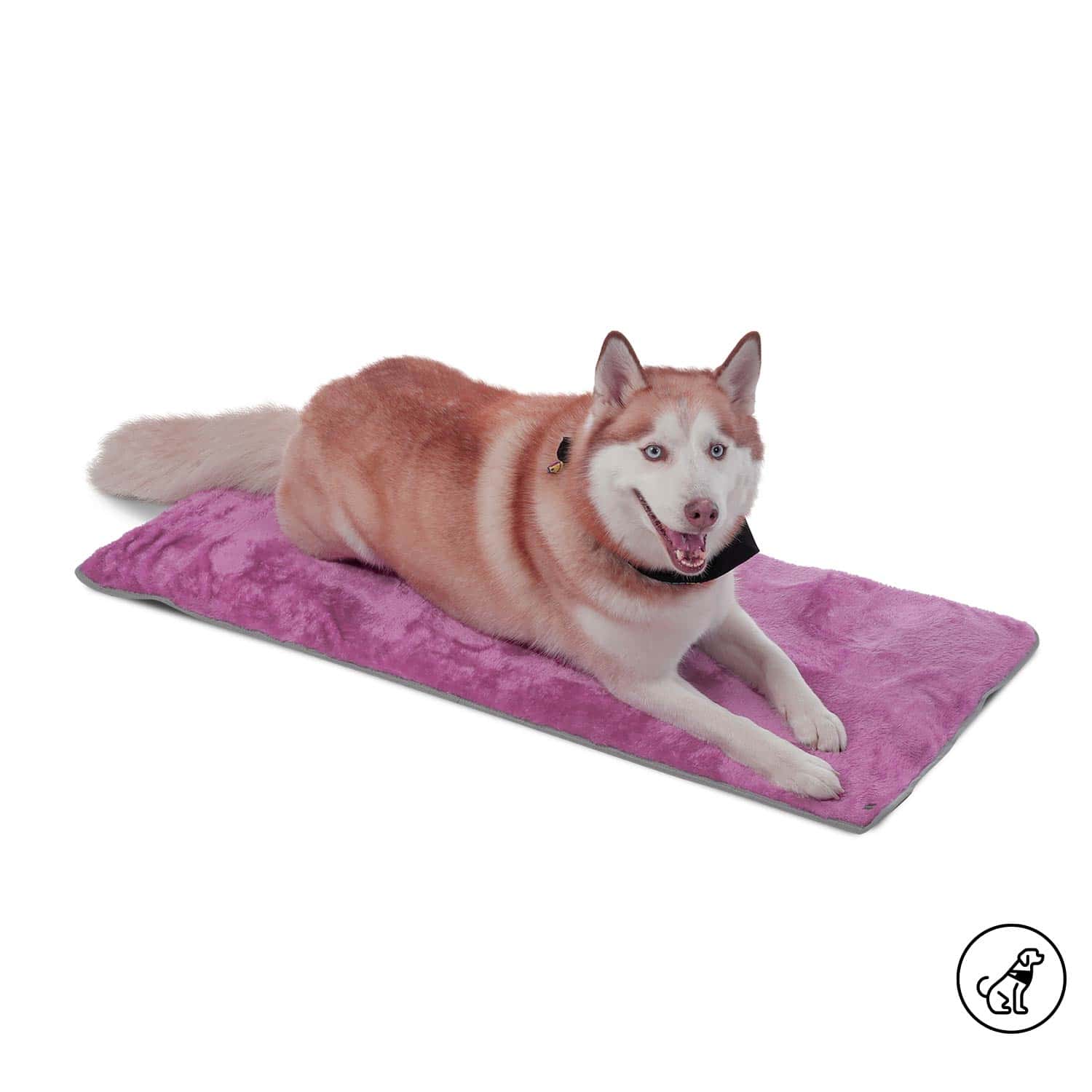 Cama Plegable Portatil Sherpy Grande Morada