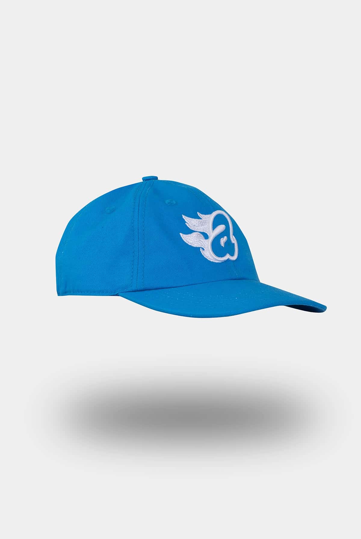 HEAT LOGO HAT