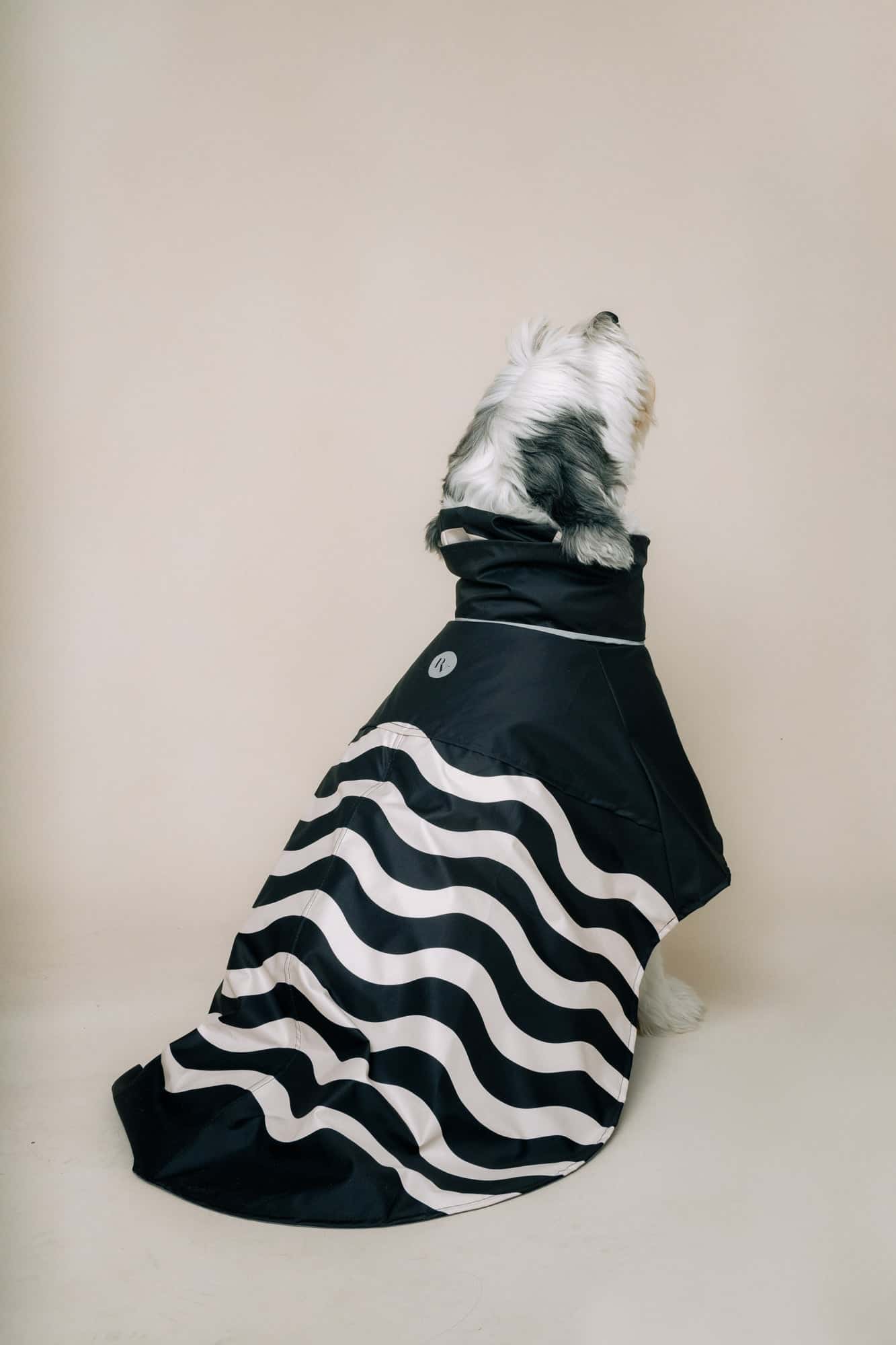 DOG´S RAINCOAT WAVES - miniatura 3