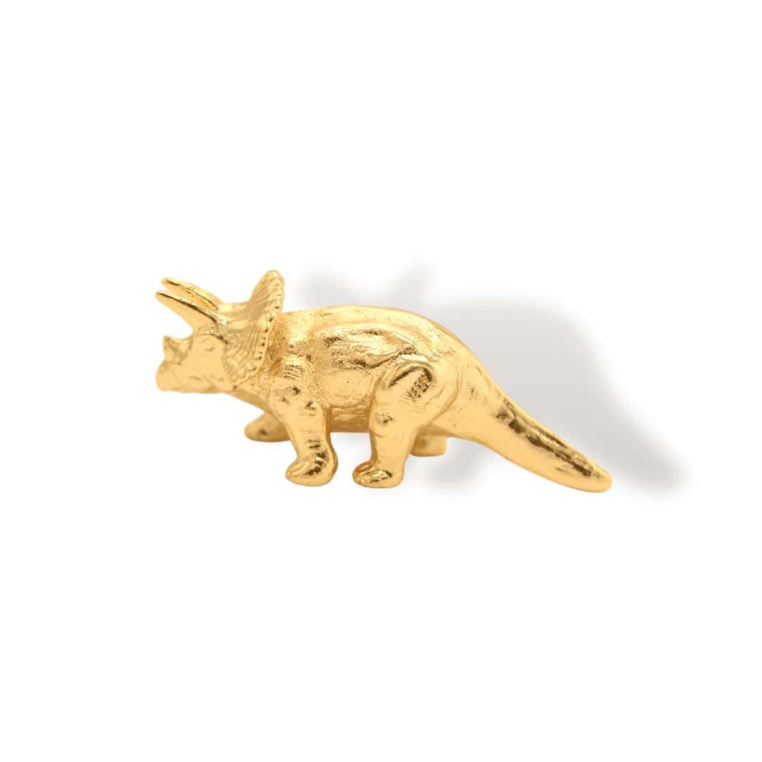 Pin de triceratops