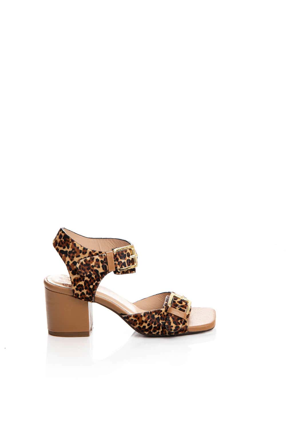 MAGNETICA LEOPARDO