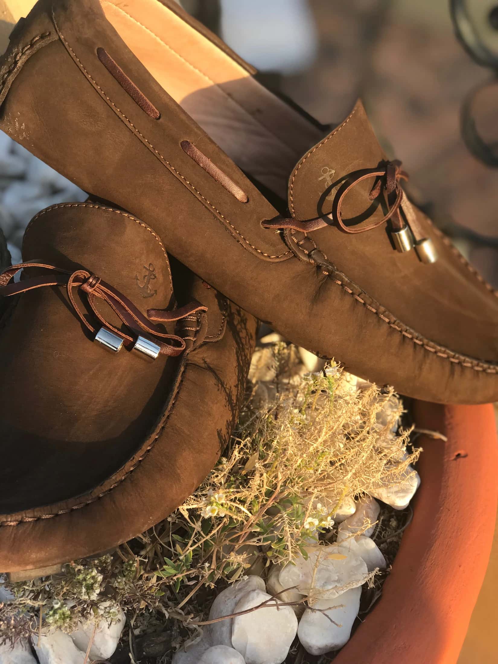 Zapatos Cafés con Cordones Cafés