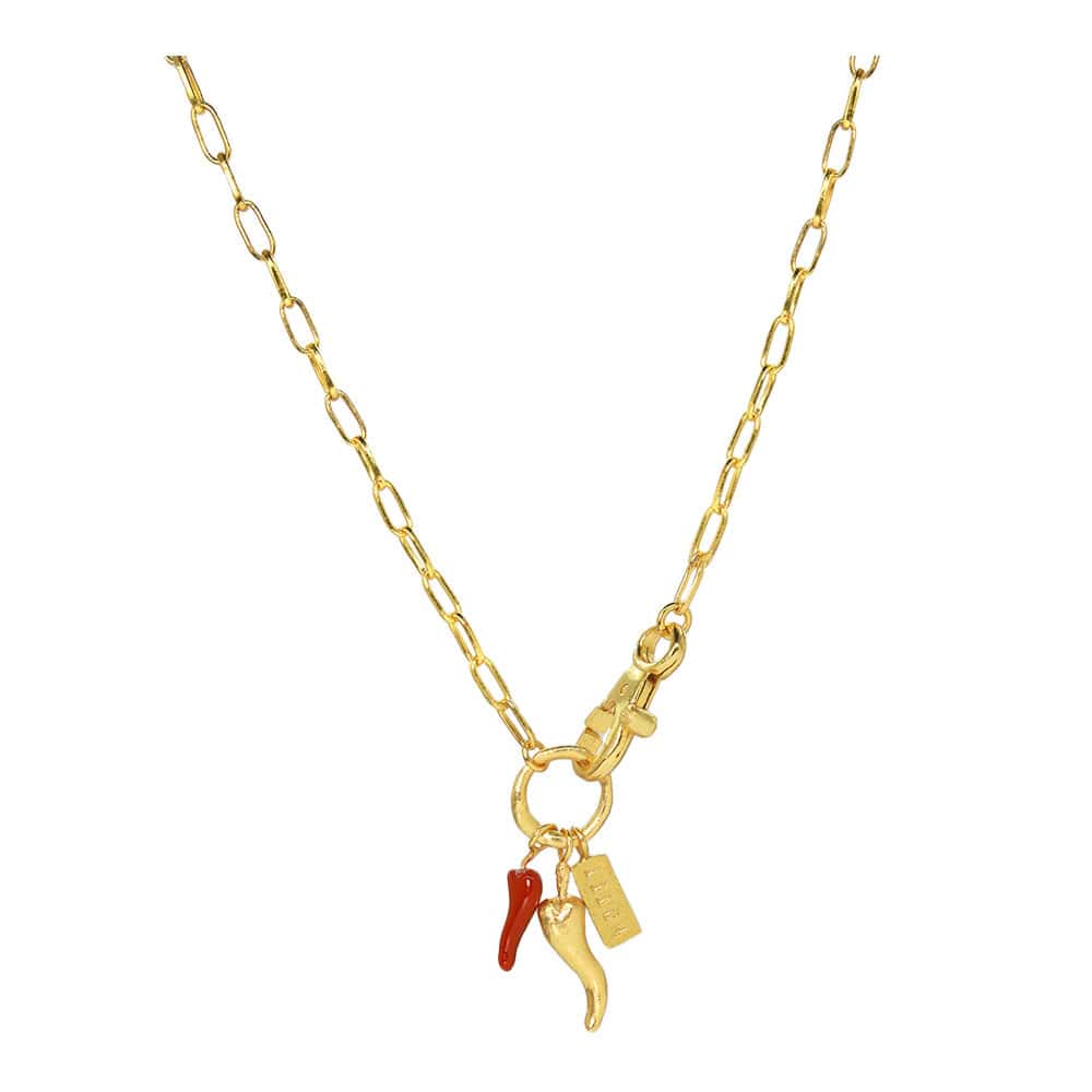 Cadena Hottt Multi Charms - miniatura 1