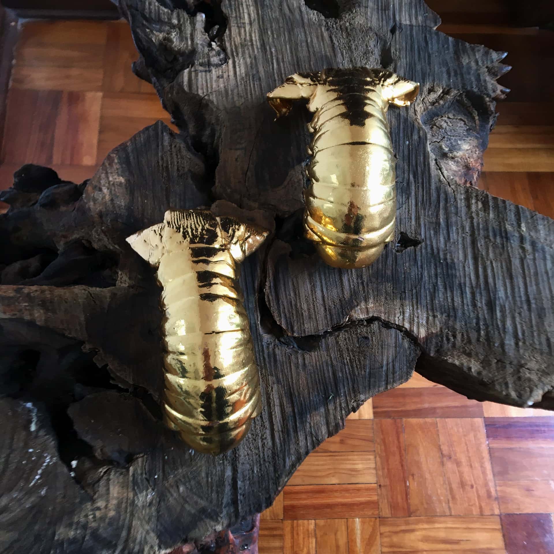 Langosta de Mesa