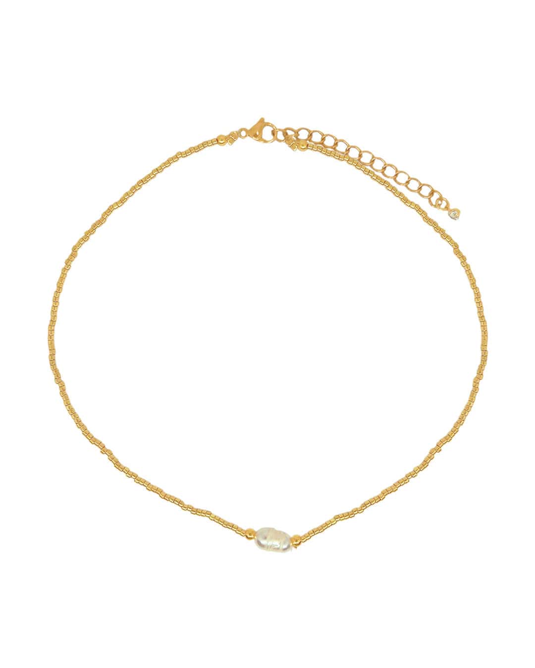 Collar Harper