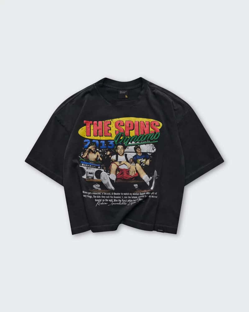 Camiseta Gris Boxy The Spins - miniatura 3