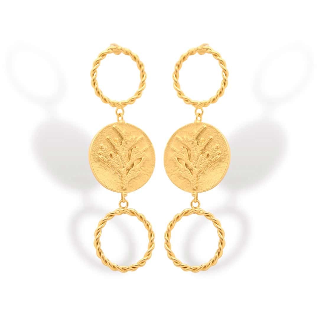 Aretes de coníferas y aros