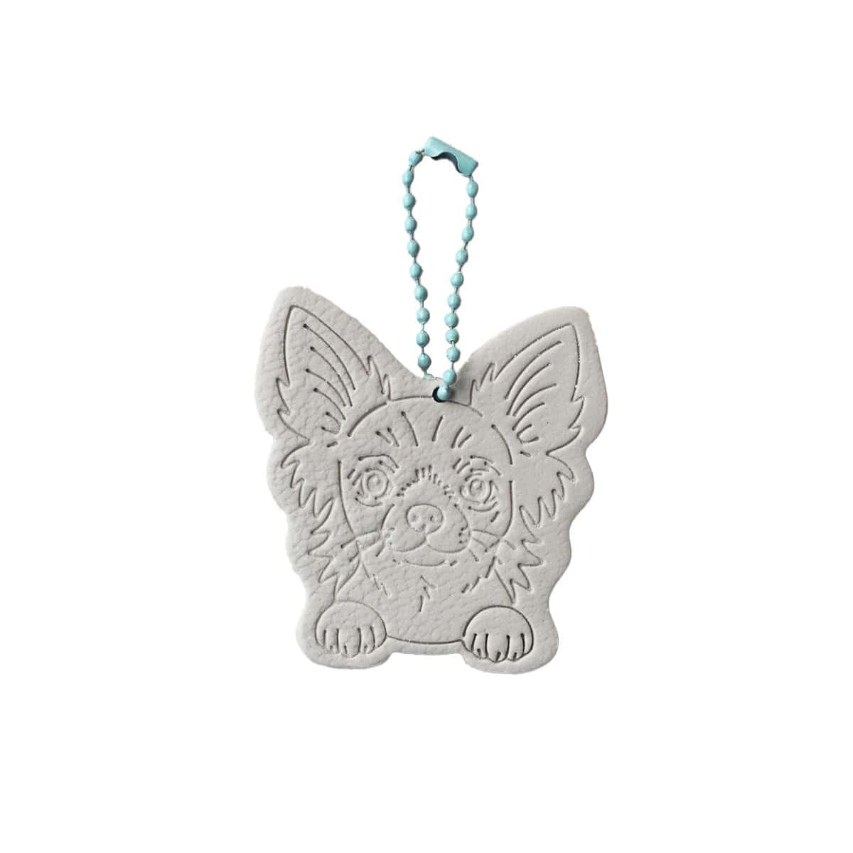 Charm Chihuahua peludo Latte
