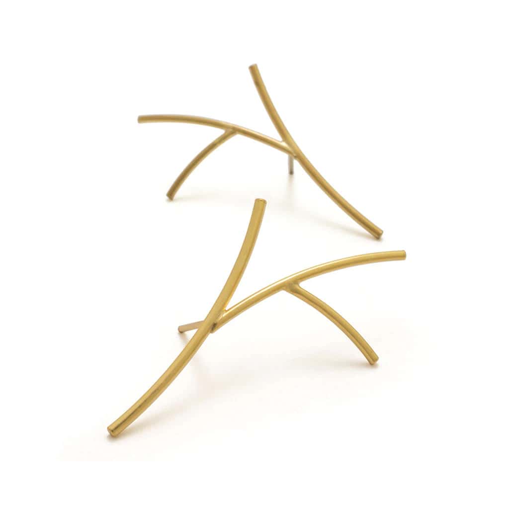 Aretes rhipsalis