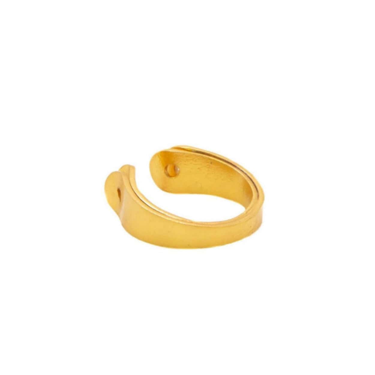 Duo Feather Ring