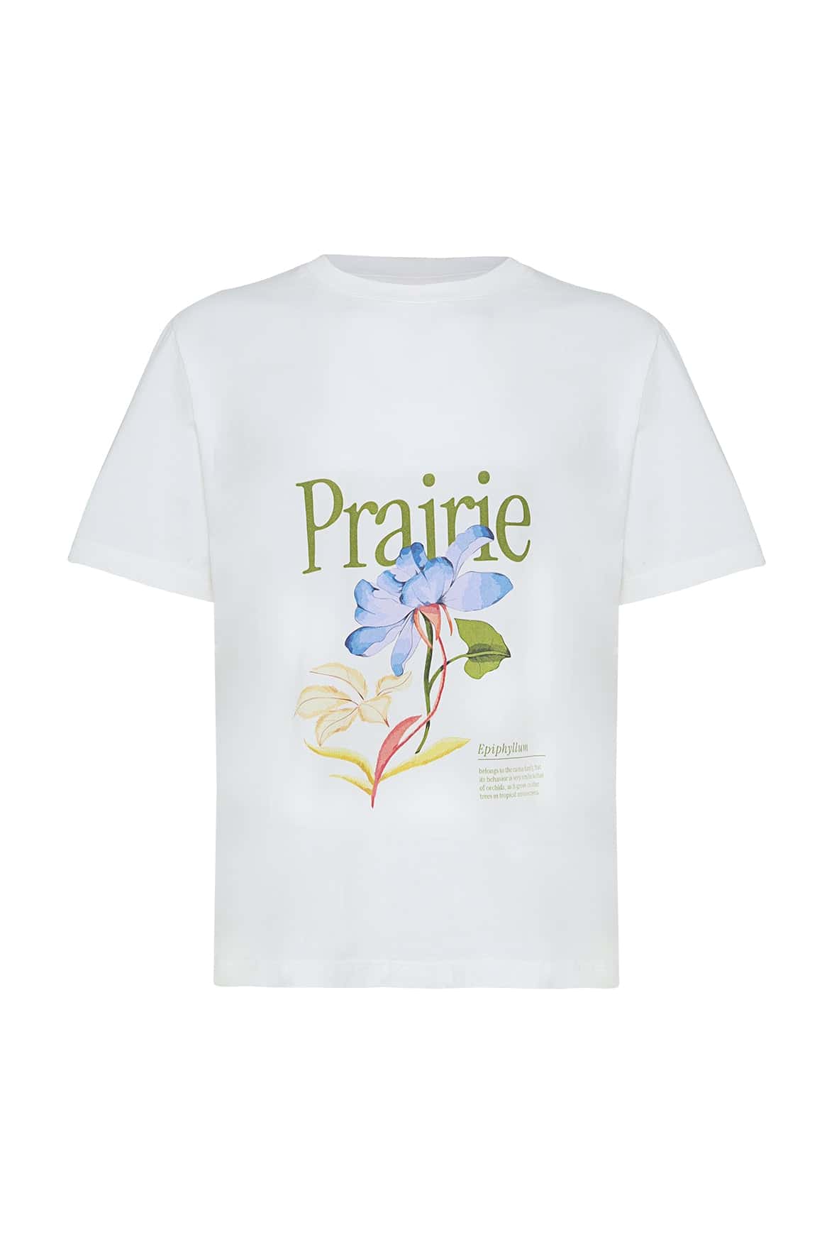 CAMISETA MAYA GARDEN - miniatura 4