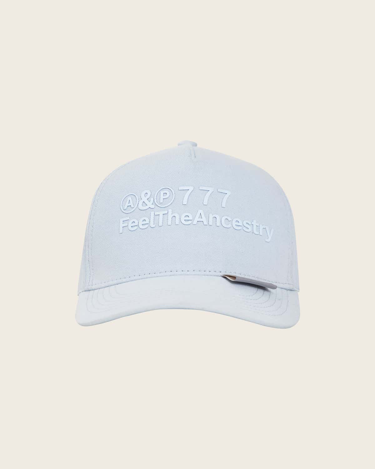 PRISMA CAP