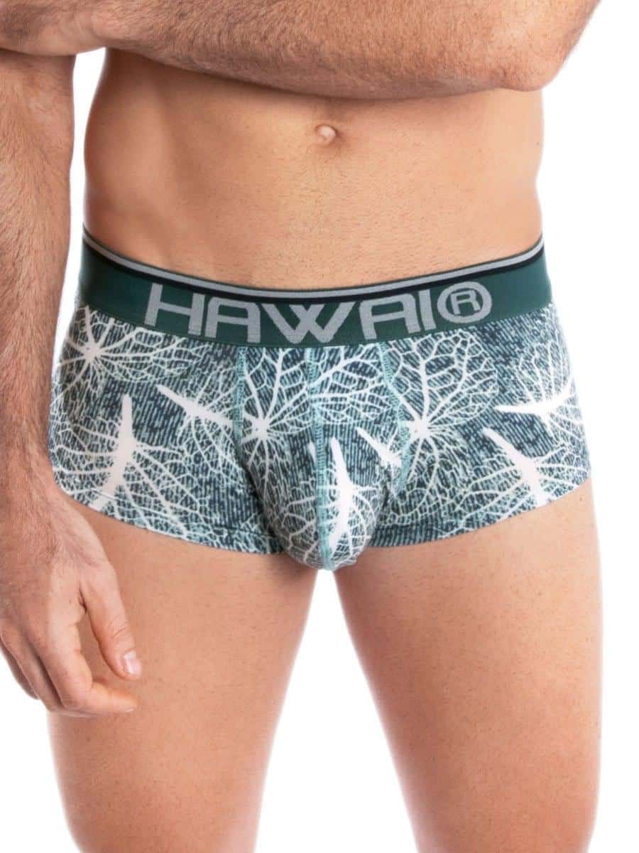 Bóxer Brief Estampado Verde