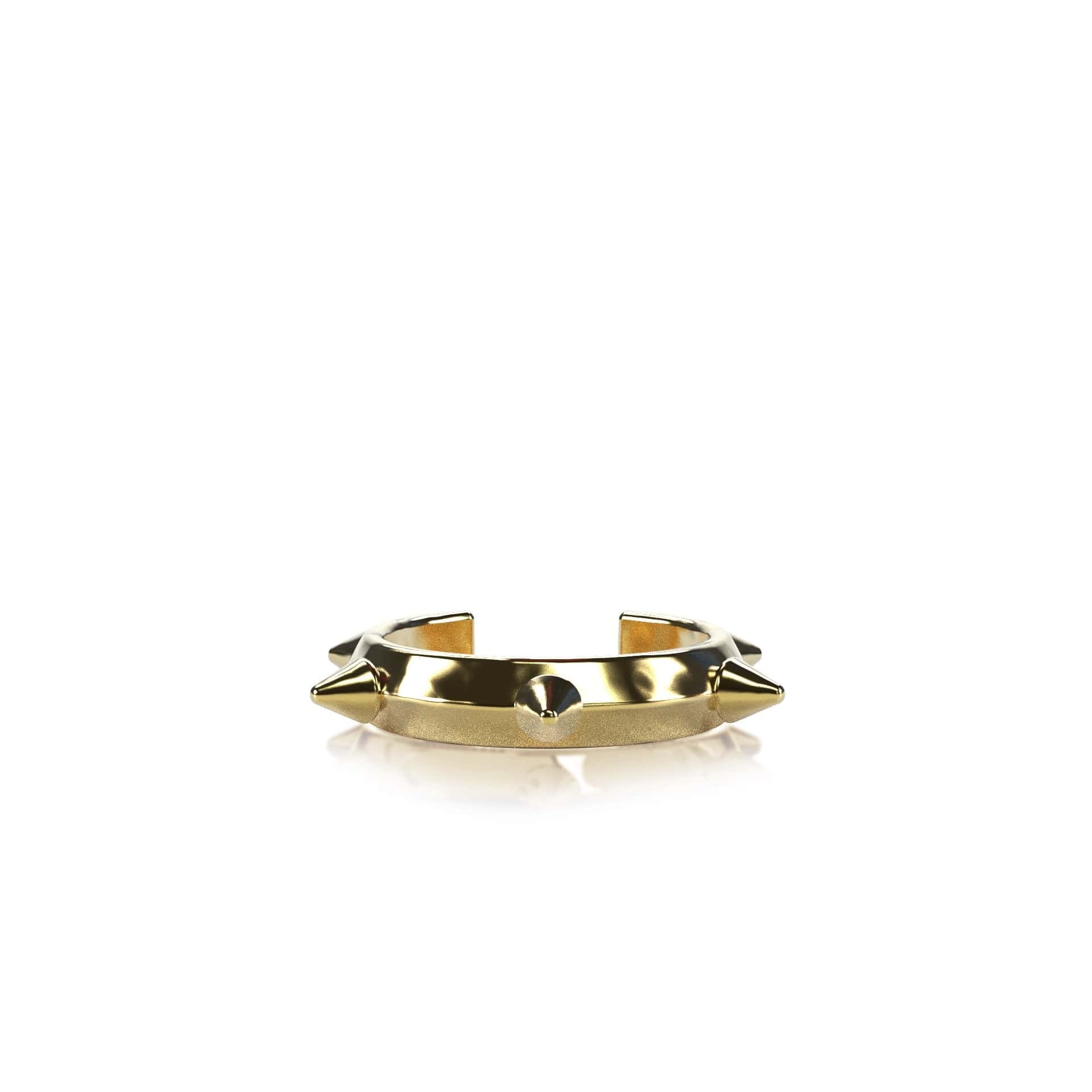 Fun hurts ring / earcuff
