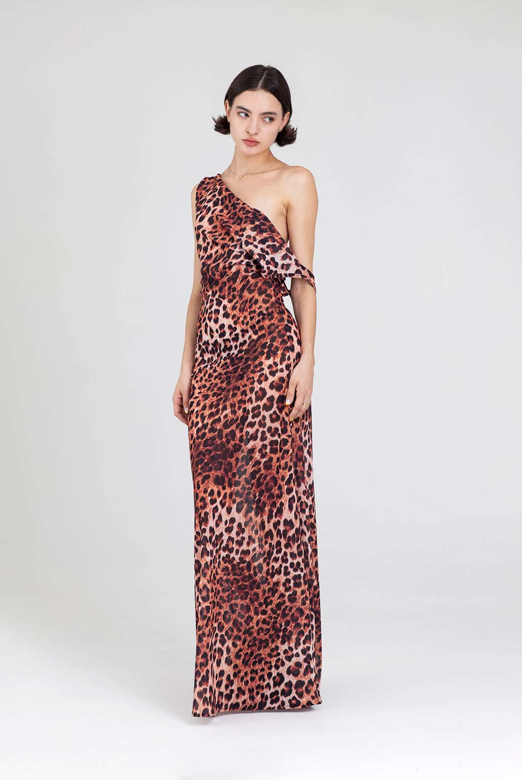 NAIA DRESS